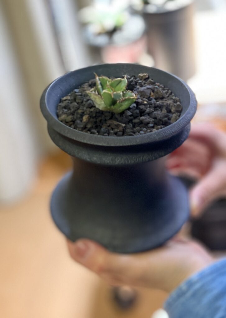 カタチ製作所 Mederu pot ドリッパー LOW Mサイズ ブラック - 観葉植物